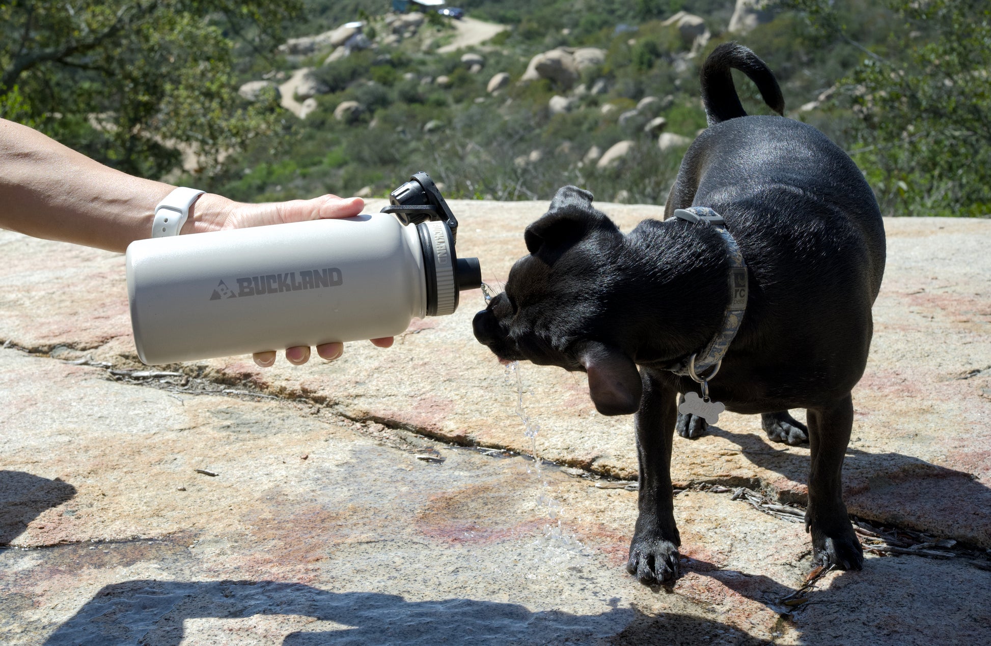 "Stainless steel sports water bottle with versatile 3-in-1 lid for outdoor adventures and hiking"
